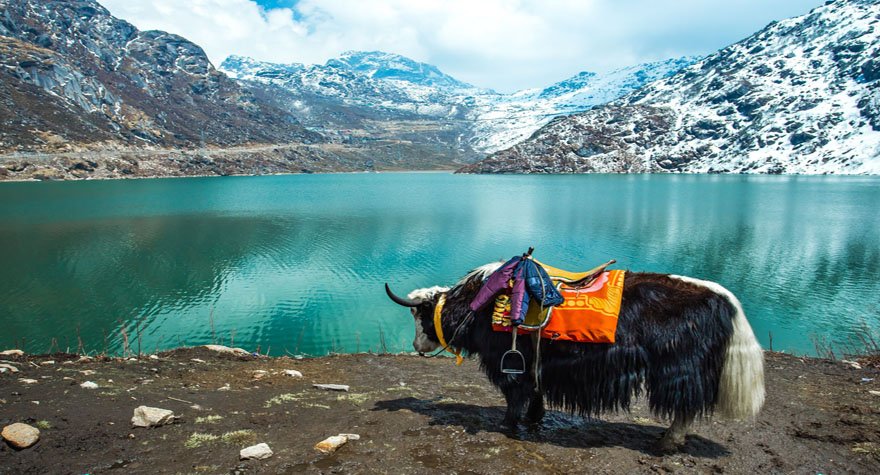 North East Delight With Kalimpong